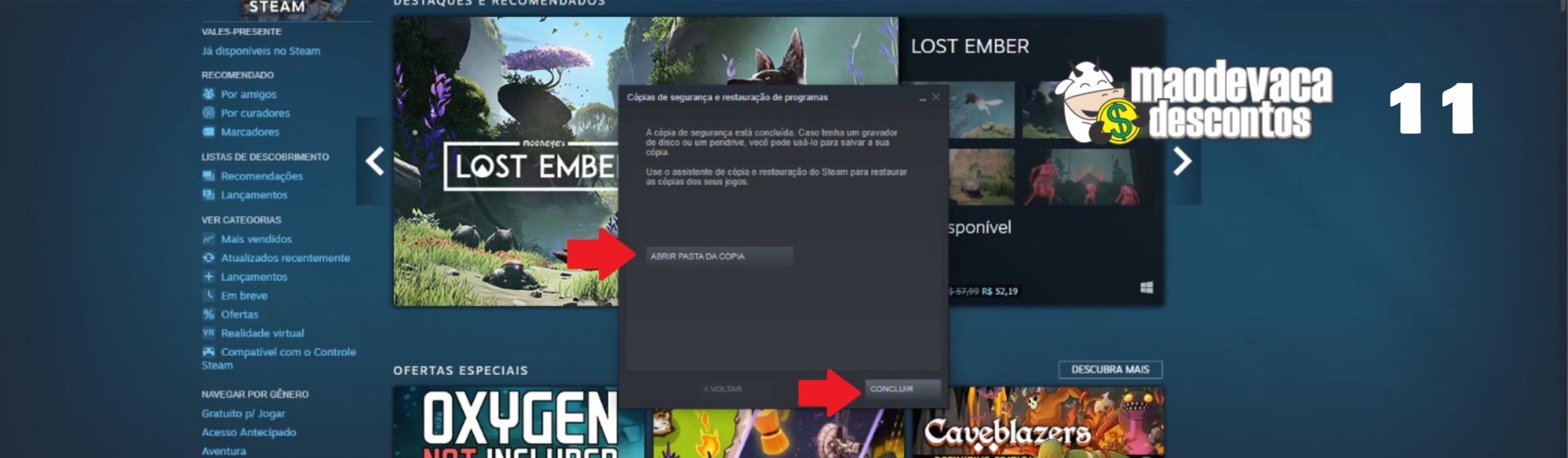 Como adicionar a pasta de jogos do Windows na biblioteca do Steam